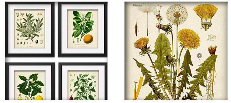 farmhouse decorations for living room_Botanical prints