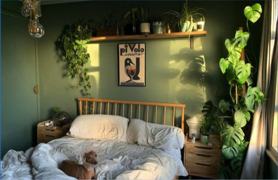 green shades for bedroom